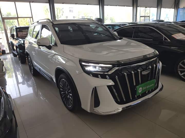 Geely Okavango L 2025 2025款 2.0T DCT尊享款