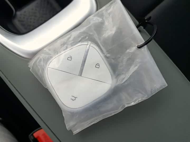 Baojun Yep Plus 2026 2026款 301km旗舰版