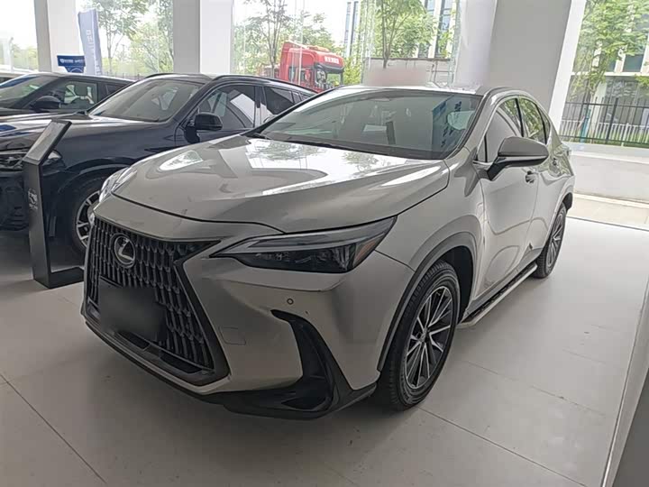 Фото 1 - Lexus NX