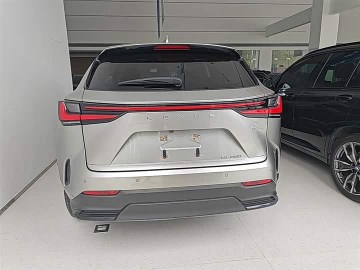 Фото 6 - Lexus NX
