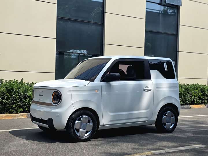 Geely Galaxy Panda Mini 2023 2023款 熊猫mini 200km 耐力熊