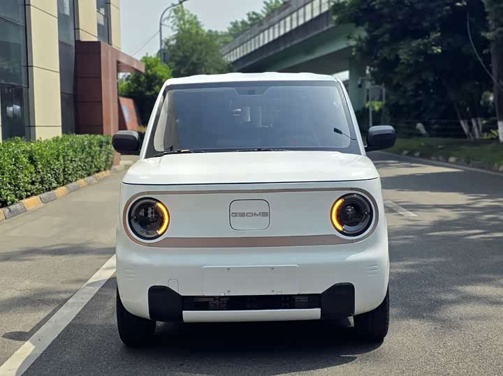 Geely Galaxy Panda Mini 2023 2023款 熊猫mini 200km 耐力熊