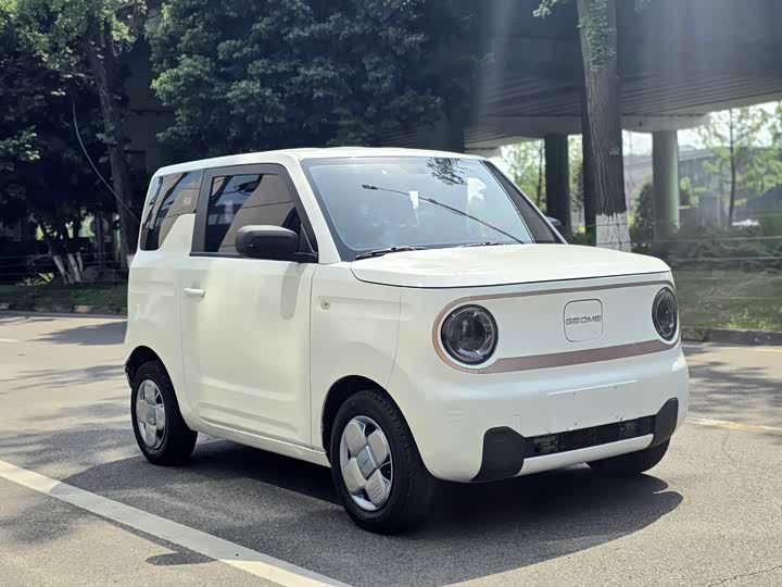 Geely Galaxy Panda Mini 2023 2023款 熊猫mini 200km 耐力熊