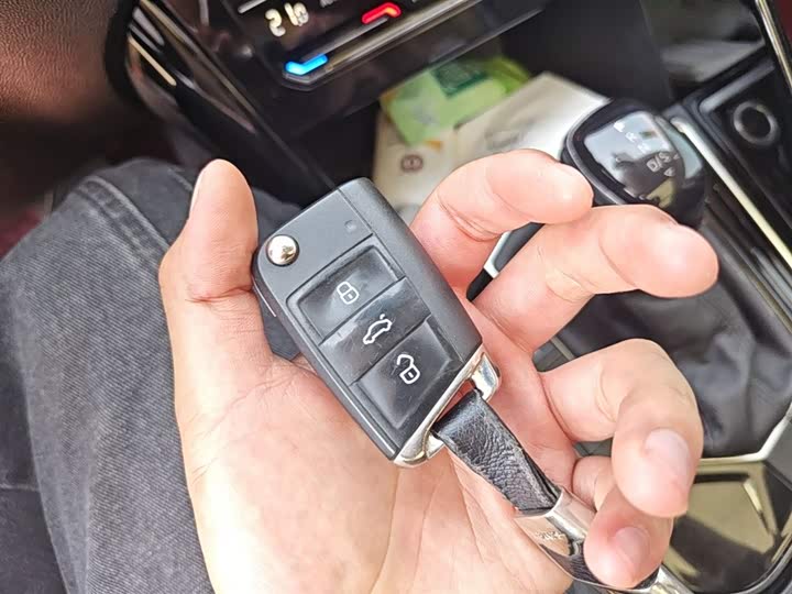 Volkswagen Tayron 2020 2020款 330TSI 两驱豪华智联版