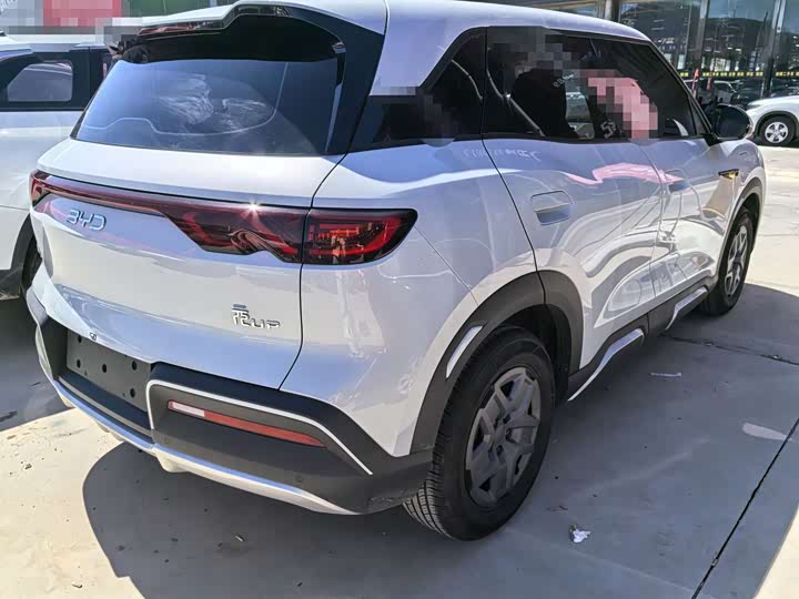 BYD Yuan Up 2024 2024款 401KM 活力版