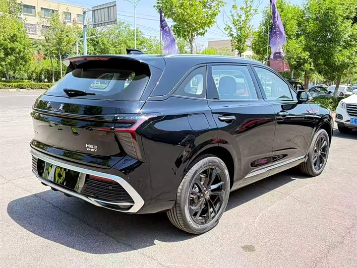 Фото 2 - Hongqi HS3 Hybrid