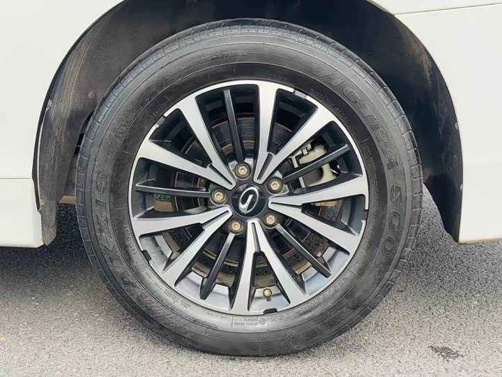 Фото 9 - GAC Trumpchi M8