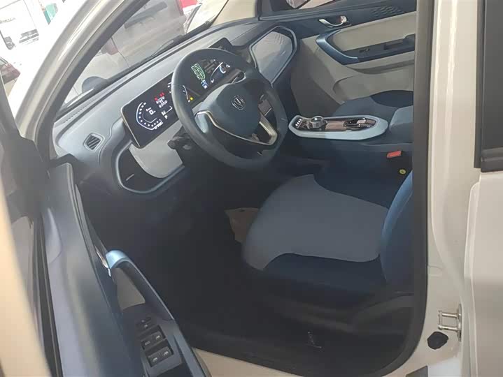 Changan BenBen E-Star 2022 2022款 清心版 多彩款 磷酸铁锂