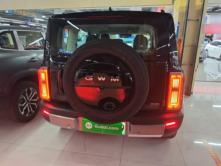 Haval Raptor Hybrid 2026 2026款 Hi4 150 Pro 磷酸铁锂