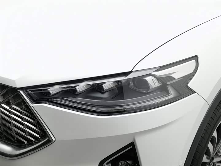 Haval F7 2021 2021款 2.0T 四驱i悦