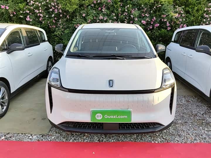 Bestune NAT 2023 2023款 PRO 舒享出行版 425km