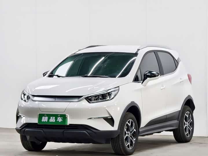 BYD Yuan Pro 2023 2023款 401KM豪华型