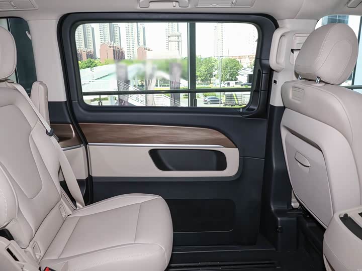 Mercedes-Benz V-Class 2024 2024款 V 300 领航版