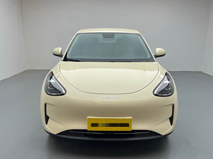 Geely Galaxy Geome 2026 2026款 310km 青春版