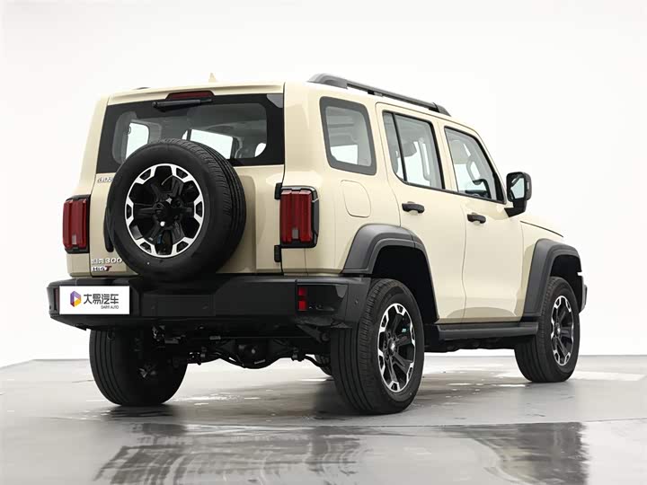 Tank 300 Hybrid 2025 2025款 Hi4-T 36.7kWh