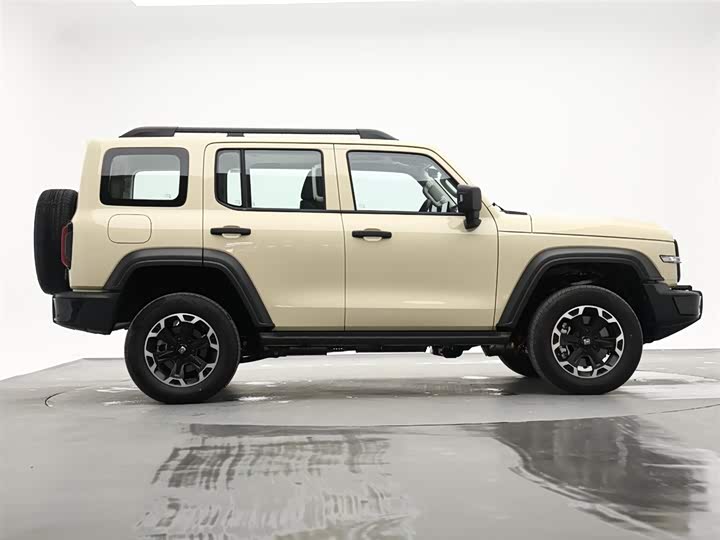 Tank 300 Hybrid 2025 2025款 Hi4-T 36.7kWh