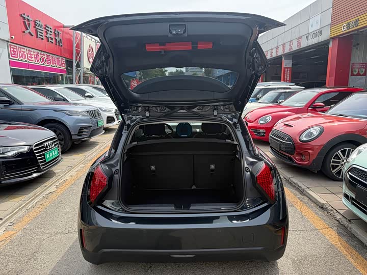 Mini Cooper 2024 2024款 452km COOPER SE 艺术家