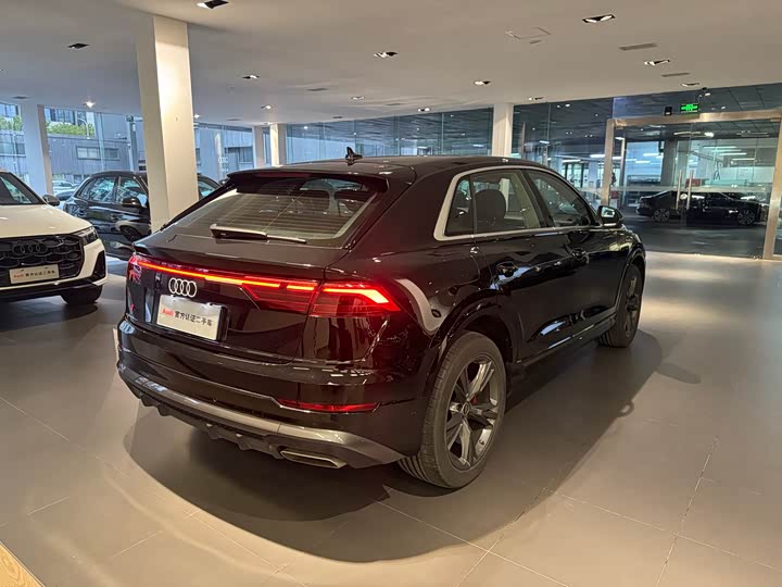 Audi Q8 2024 2024款 55 TFSI 豪华动感型