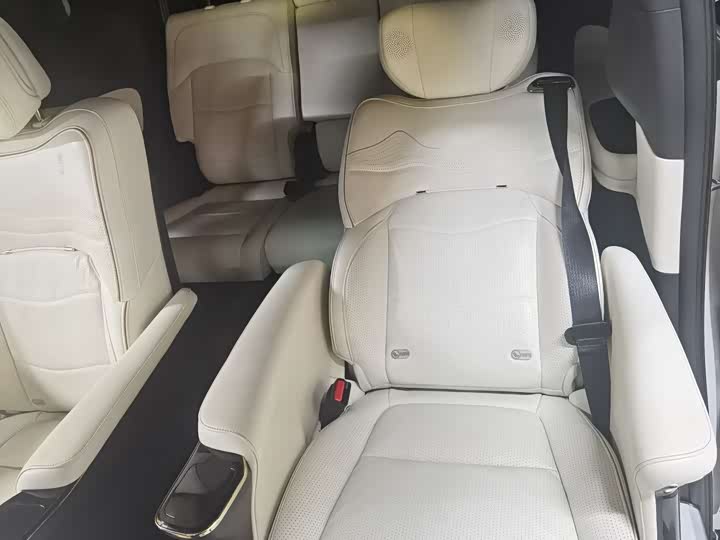 GAC Trumpchi M8 2021 2021款 领秀系列 390T 尊贵版