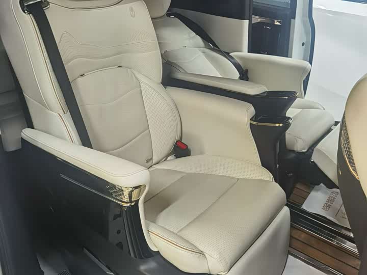GAC Trumpchi M8 2021 2021款 领秀系列 390T 尊贵版