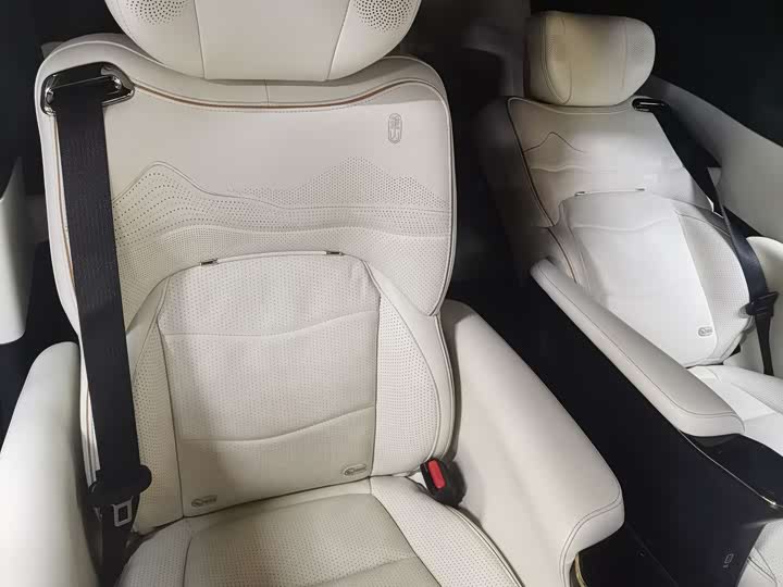 GAC Trumpchi M8 2021 2021款 领秀系列 390T 尊贵版