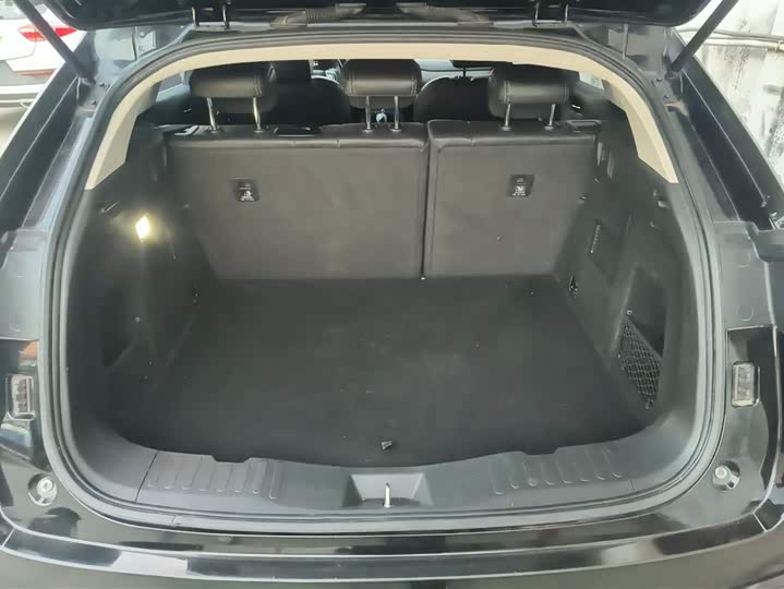 2021 Wey VV5