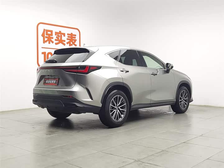 Lexus NX 2024 2024款 260 前驱 创驰版