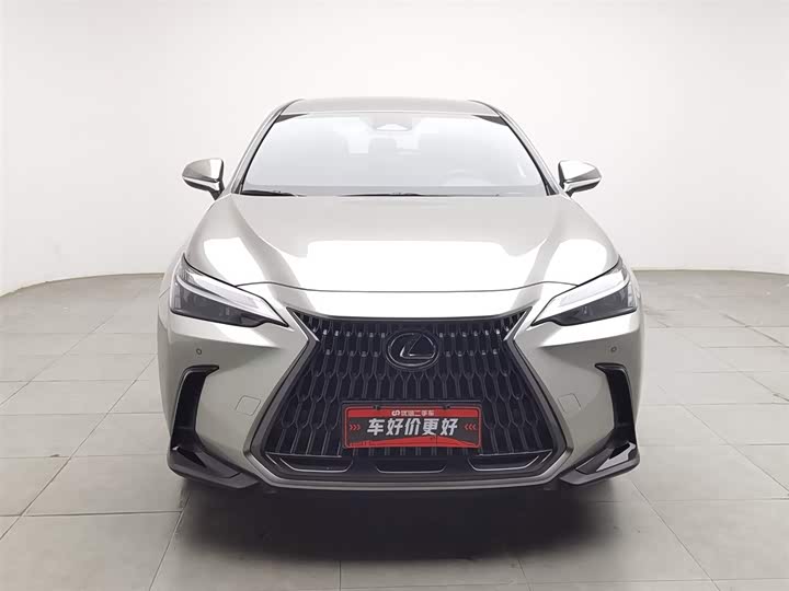 Lexus NX 2024 2024款 260 前驱 创驰版