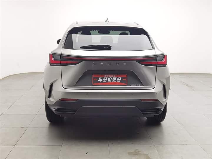 Lexus NX 2024 2024款 260 前驱 创驰版