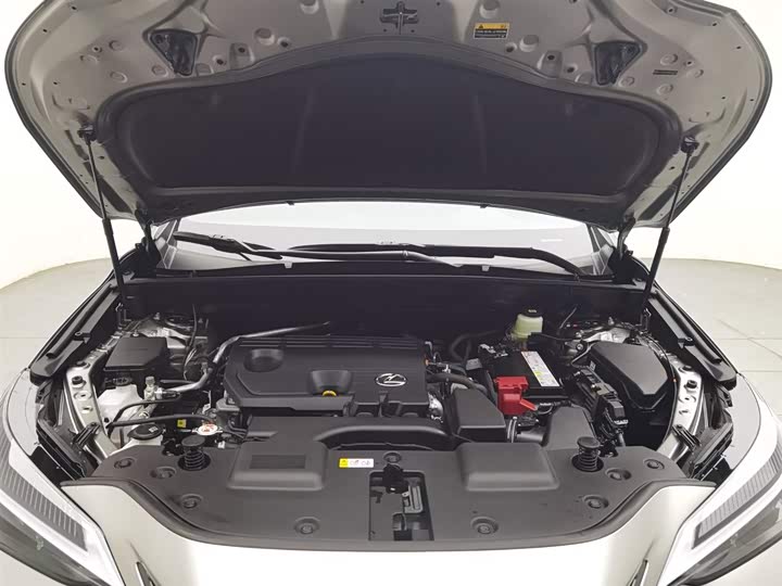 Lexus NX 2024 2024款 260 前驱 创驰版