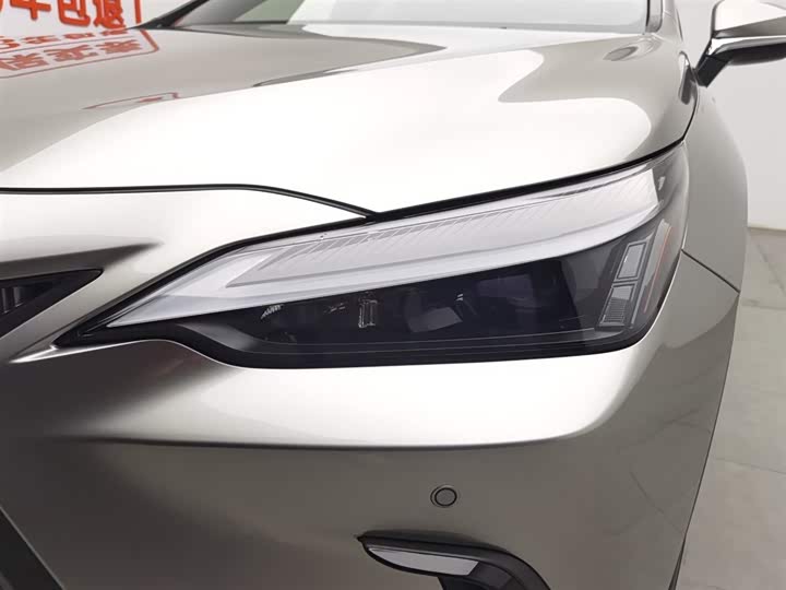 Lexus NX 2024 2024款 260 前驱 创驰版
