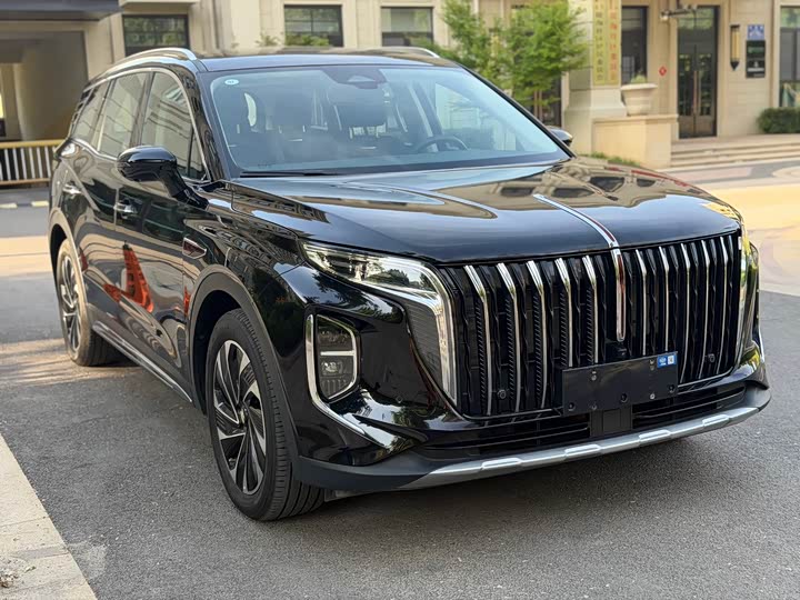 صورة 3 - Hongqi HS7 Hybrid