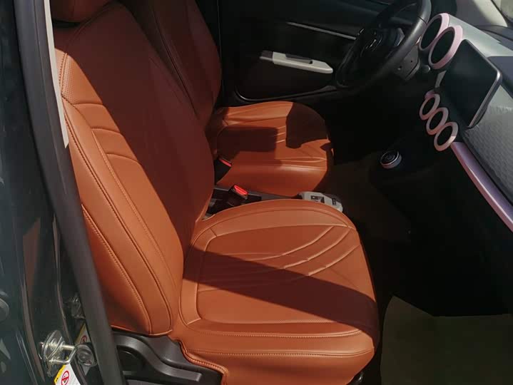 Ora Black Cat 2021 2021款 351km 豪华型