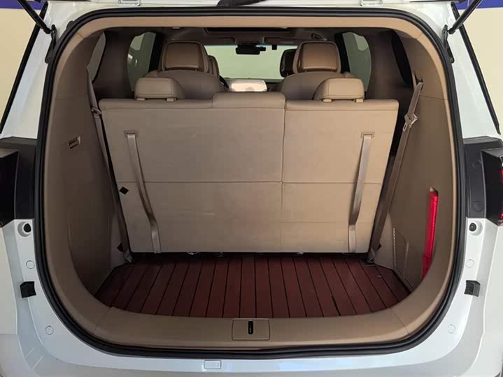 Фото 4 - Buick GL8 ES