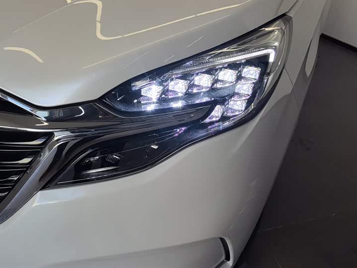 Фото 5 - Buick GL8 ES
