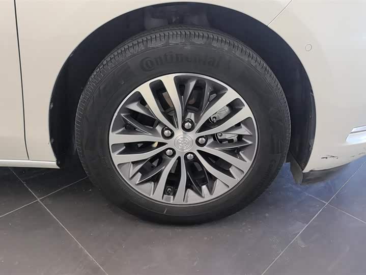Фото 6 - Buick GL8 ES