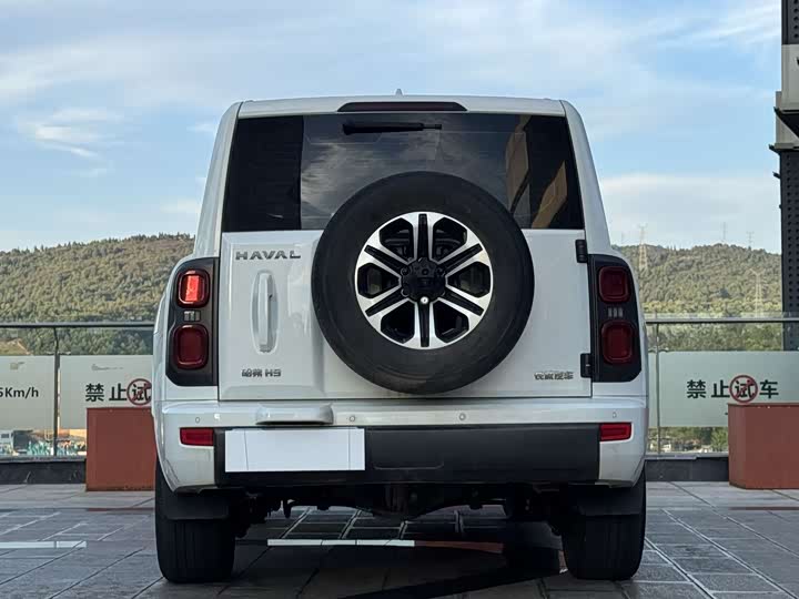 Zdjęcie 8 - Haval H9