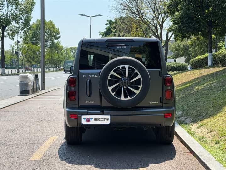 Haval H9 2024 2024款 2.0T 汽油四驱极境版