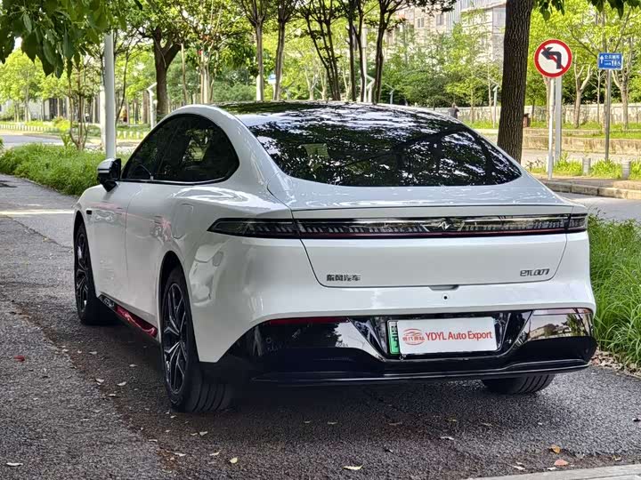 Zdjęcie 7 - Dongfeng Yipai eπ 007