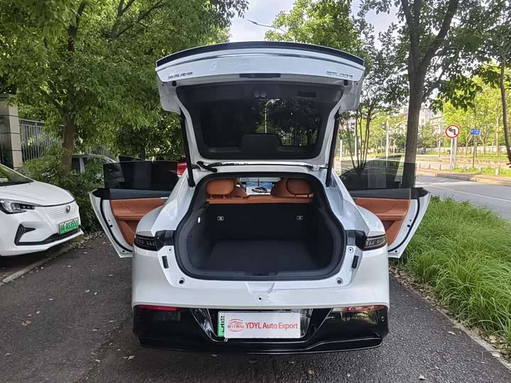 Zdjęcie 8 - Dongfeng Yipai eπ 007