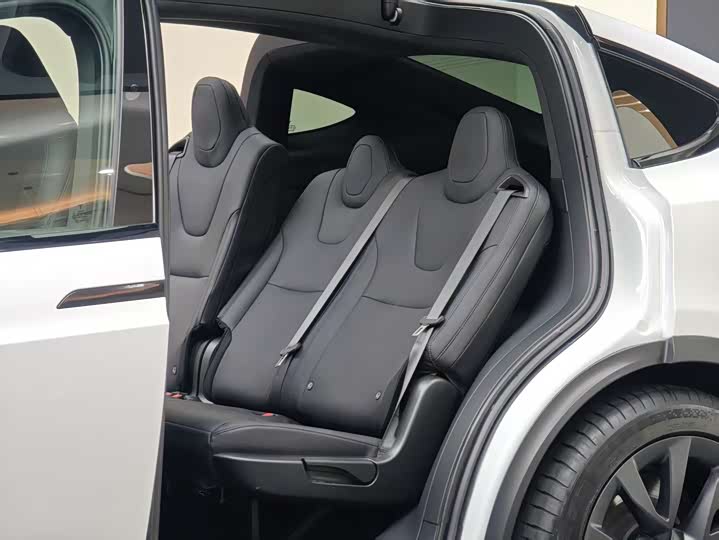 Tesla Model X 2023 2023款 双电机全轮驱动版