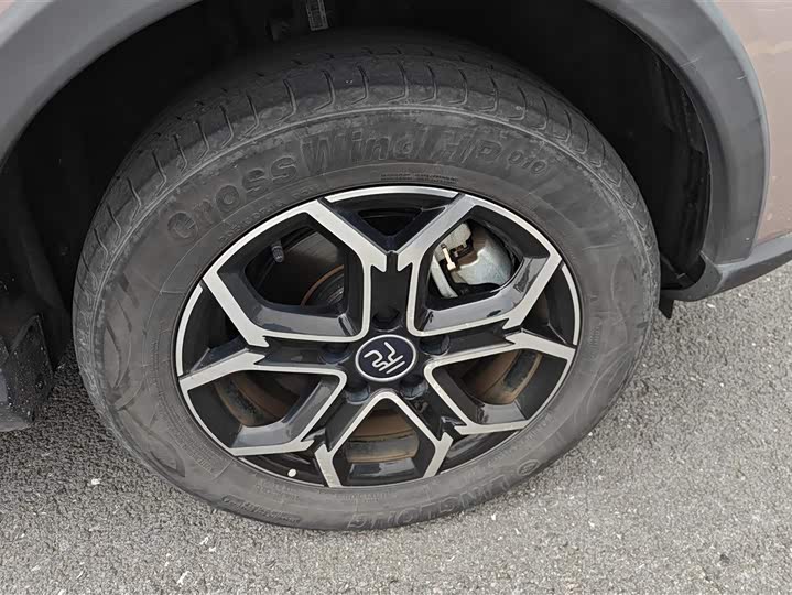 BYD Yuan Pro 2023 2023款 401KM尊贵型