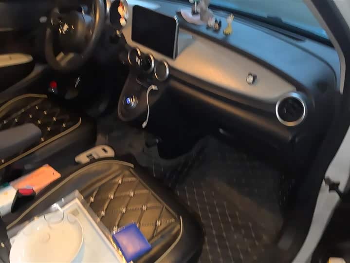 Ora Black Cat 2022 2022款 301km 萌宠版 磷酸铁锂