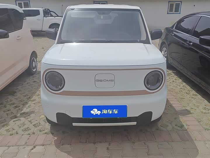 Фото 2 - Geely Galaxy Panda Mini