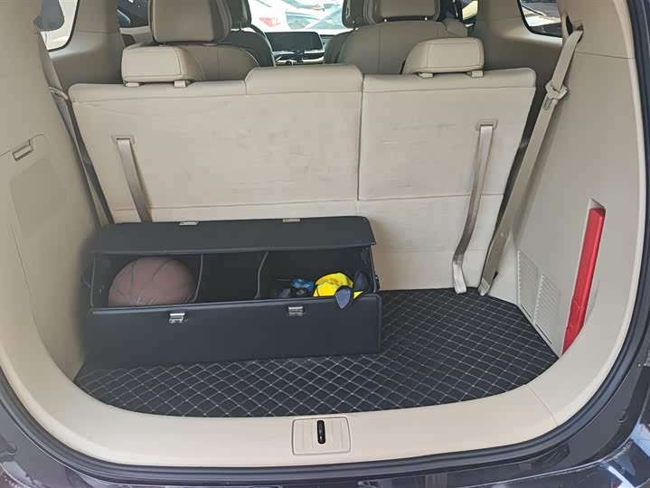 Фото 4 - Buick GL8 ES