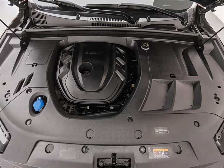 Geely Tugella 2020 2020款 高能版 350T 耀星者