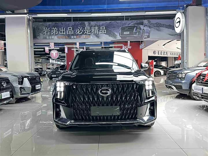GAC Trumpchi GS8 2022 2022款 双擎系列 2.0TM 四驱旗舰版（六座）