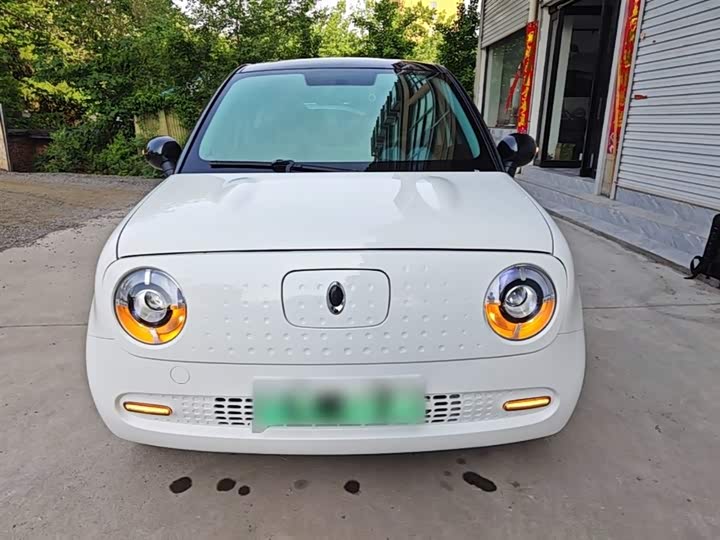 Ora Black Cat 2021 2021款 301km 基础型