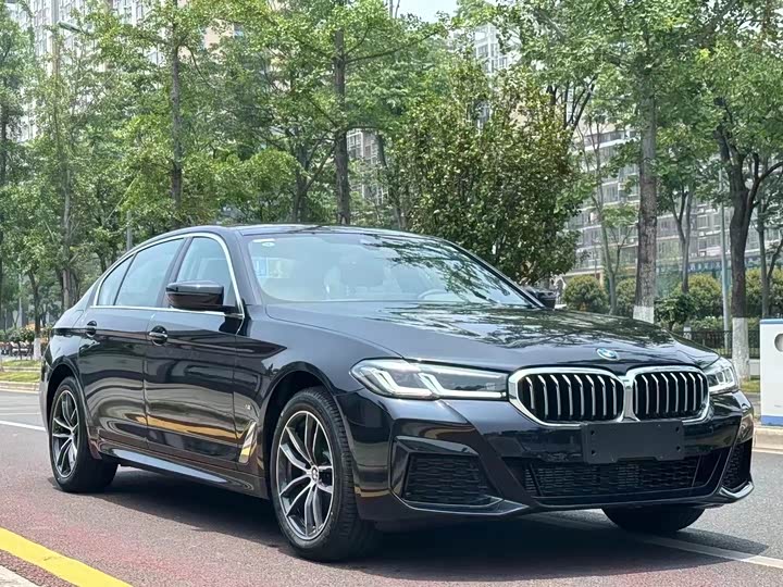 Zdjęcie 3 - BMW 5 Series