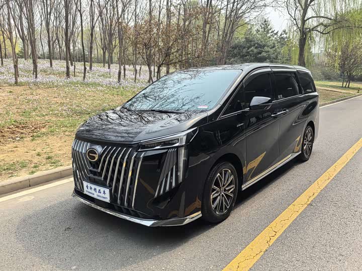 Zdjęcie 1 - GAC Trumpchi M8